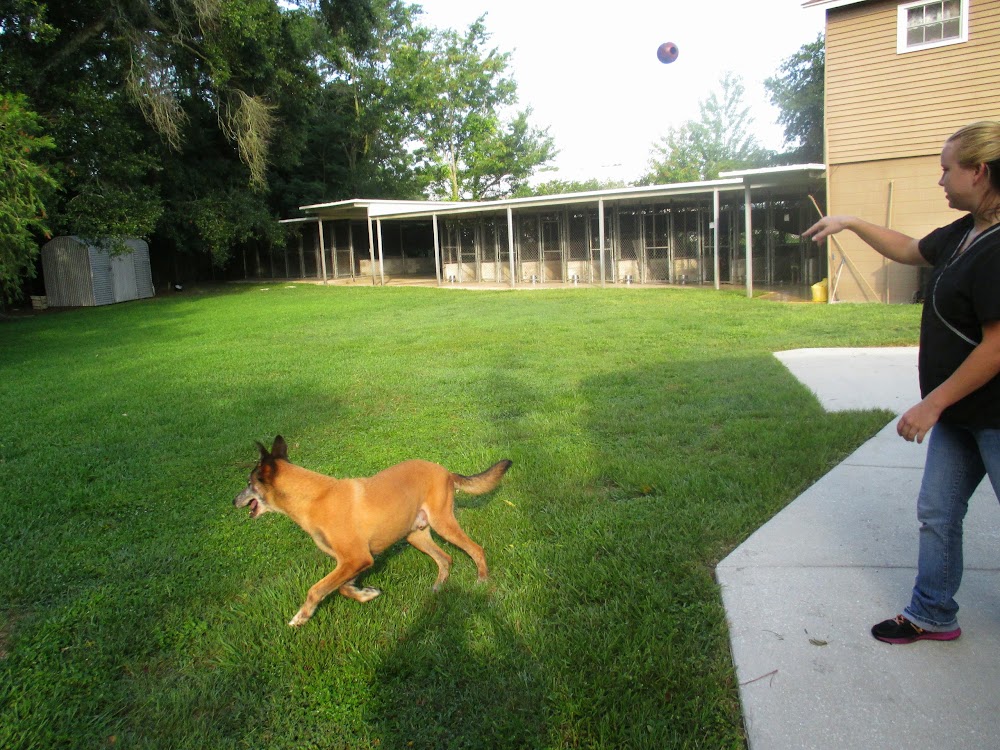 Apopka Veterinary Clinic