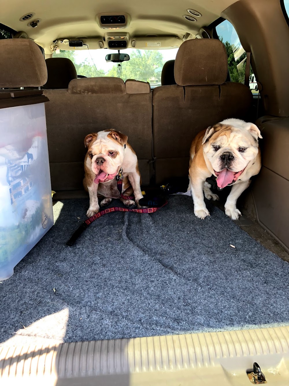 Happy Tails Boarding Kennel