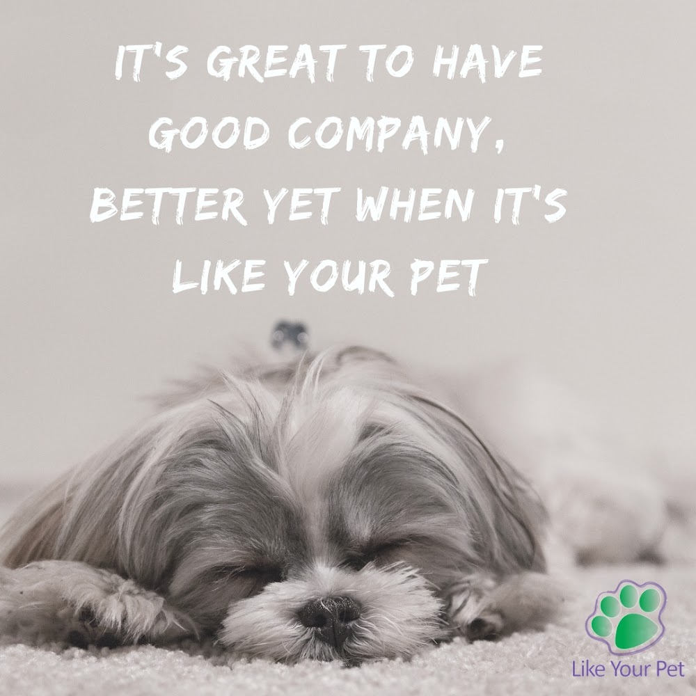 Like Your Pet LLC