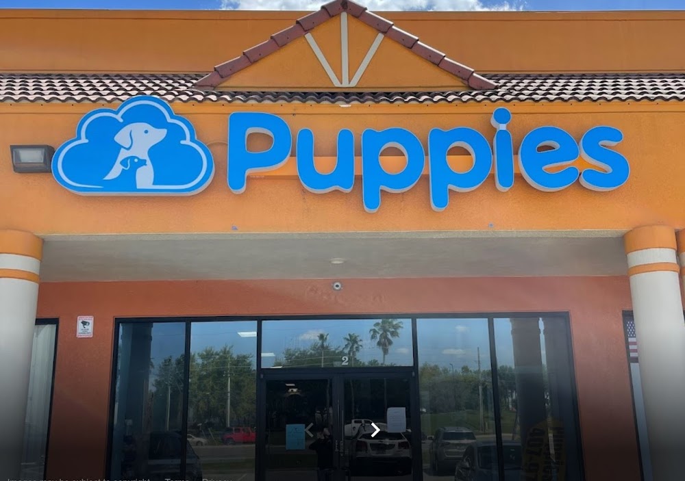 Blue Sky Puppies Orlando