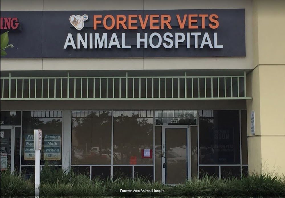 Forever Vets Animal Hospital