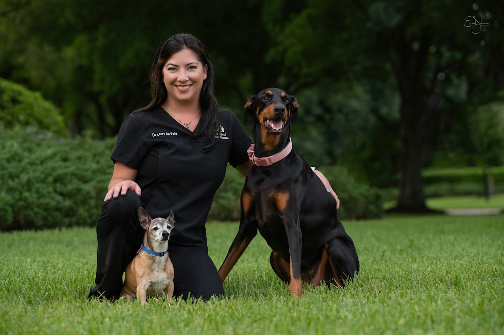 Lake Alfred Animal Hospital