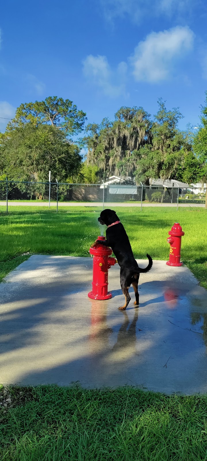 Carla Gnann-Thompson Memorial Dog Park