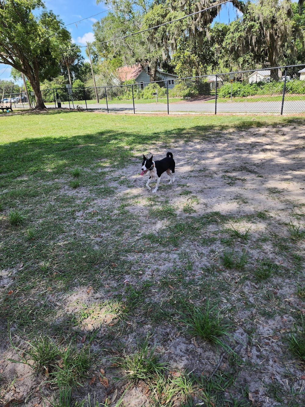 Doctors’ Dog Park