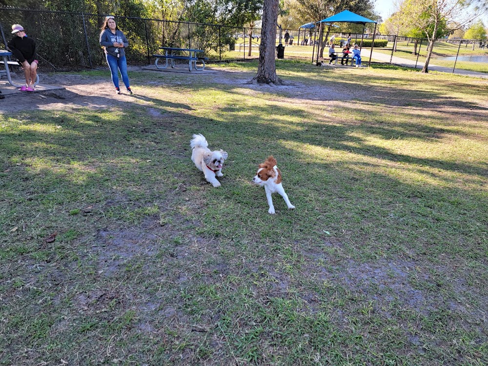 Dog park