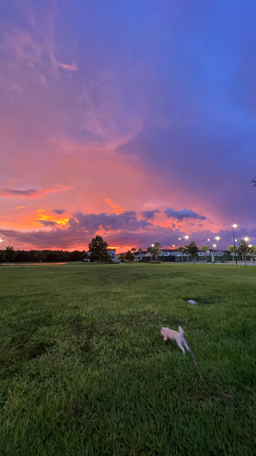 Eagle Creek Dog Park