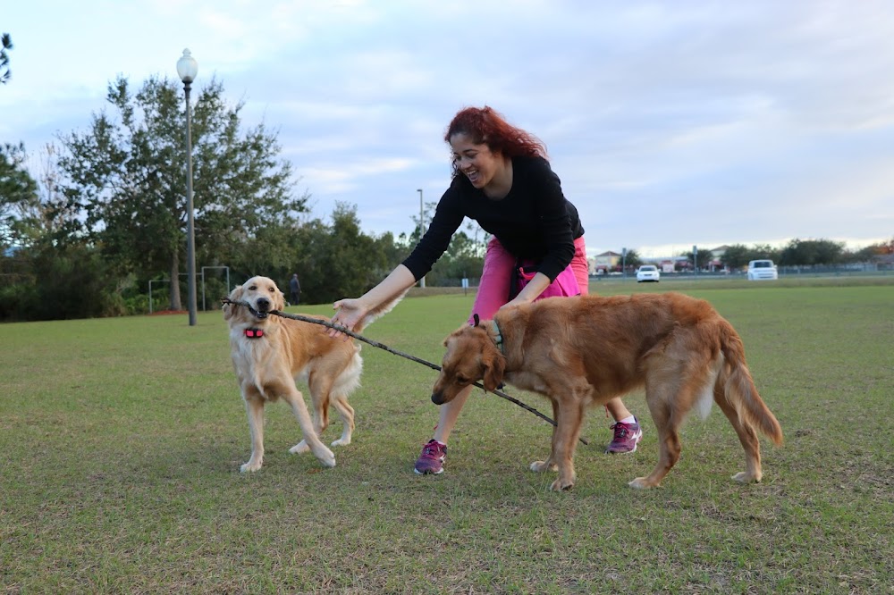 Family K9 Training