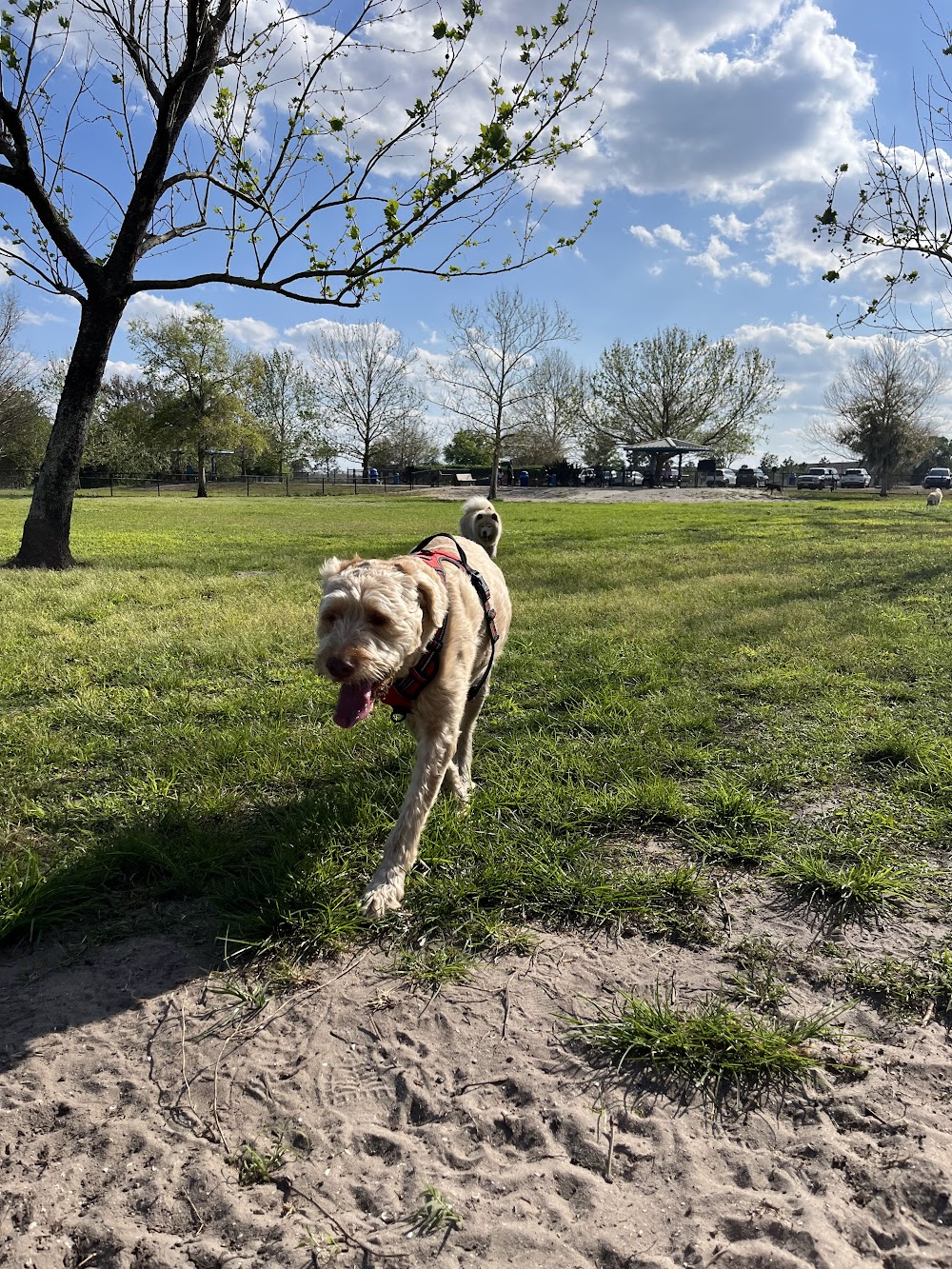 Meadow Woods Dog Park