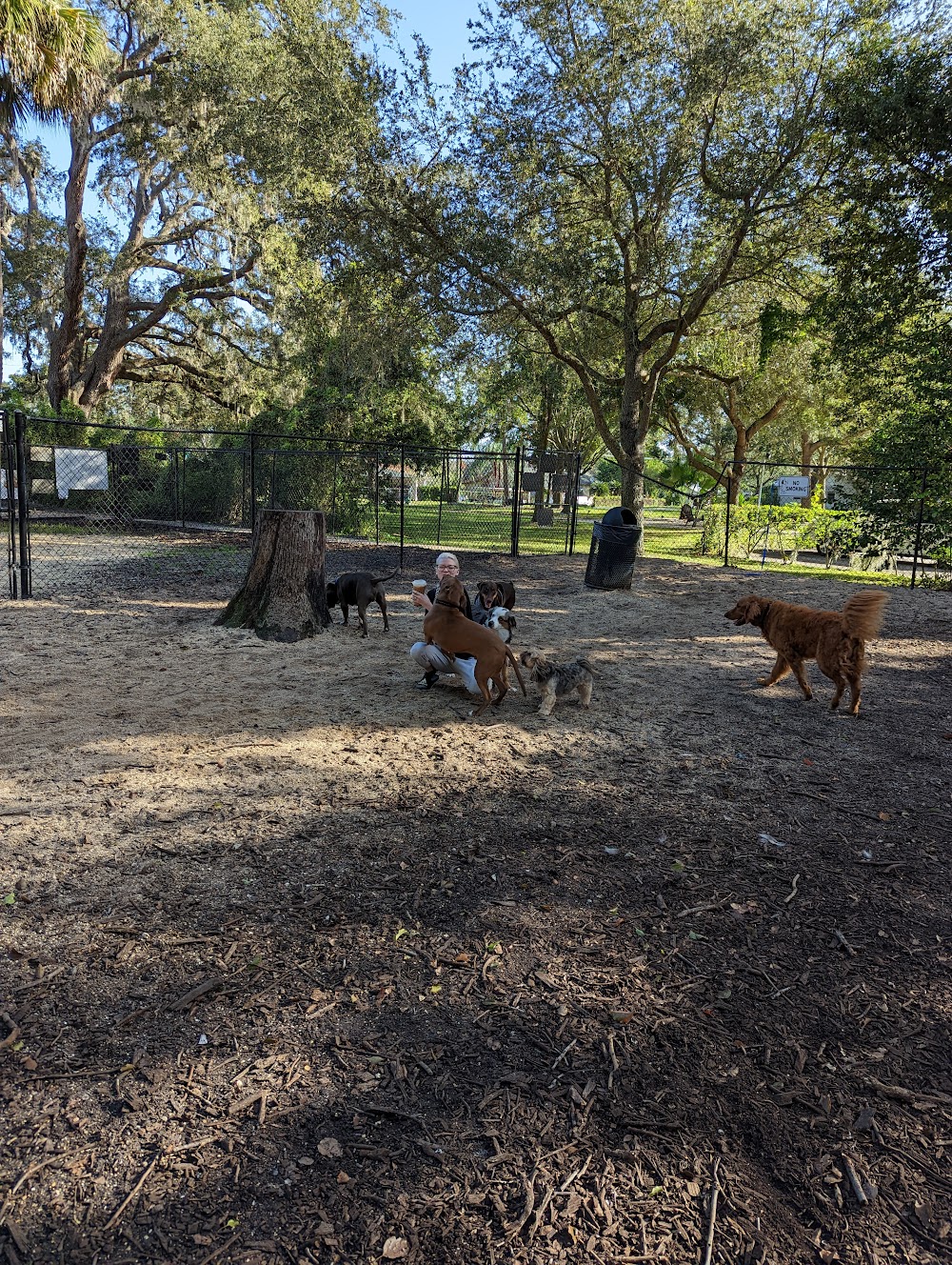 Pawmosa Dog Park