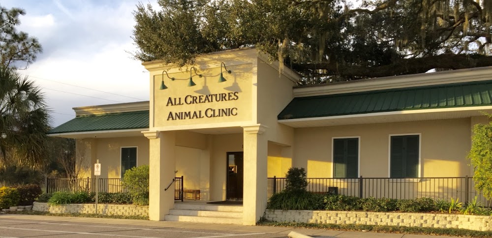 All Creatures Animal Clinic