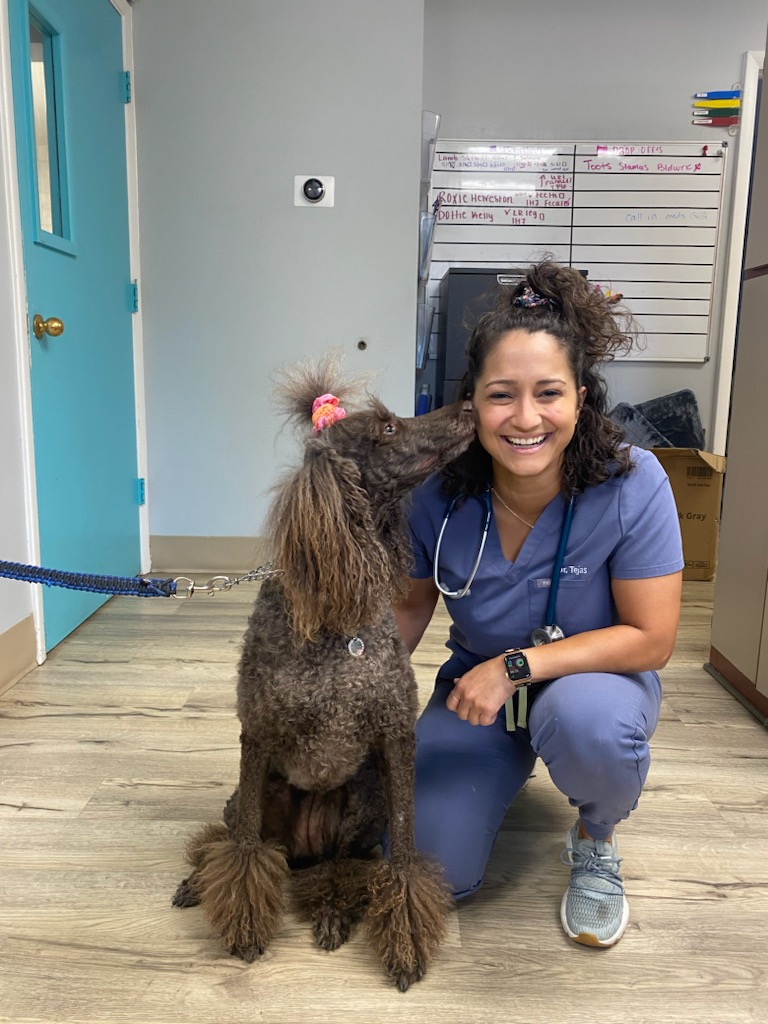 Anclote Animal Hospital