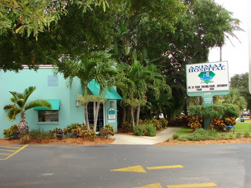 Animal Hospital of Seminole, A Thrive Pet Healthcare Partner