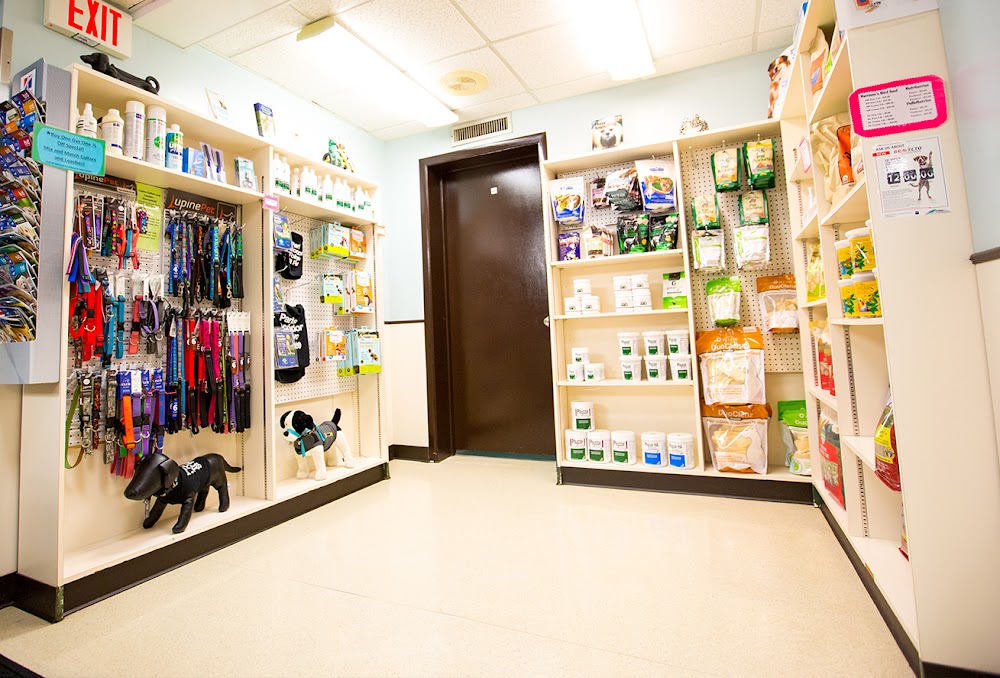 Bayshore Animal Hospital & Avian Practice