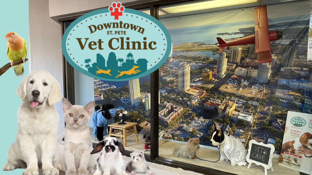 Downtown St. Pete Vet Clinic