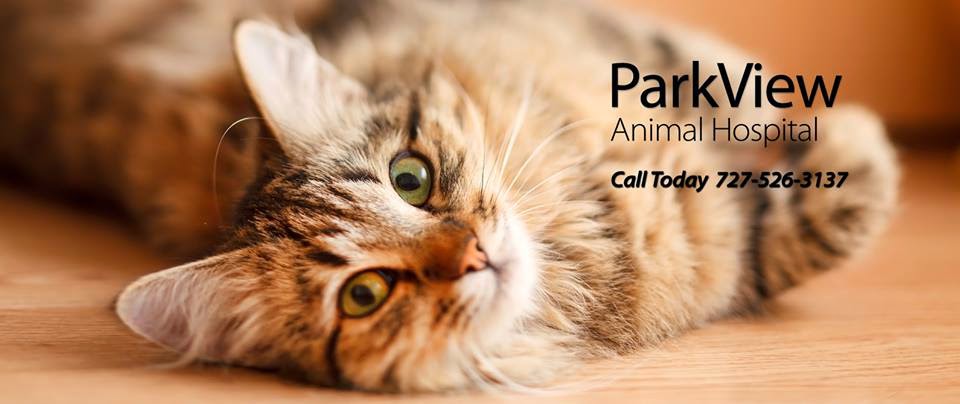 ParkView Animal Hospital