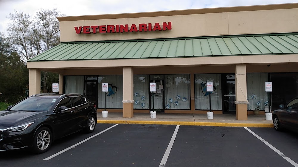 Plantation Animal Hospital of Tampa