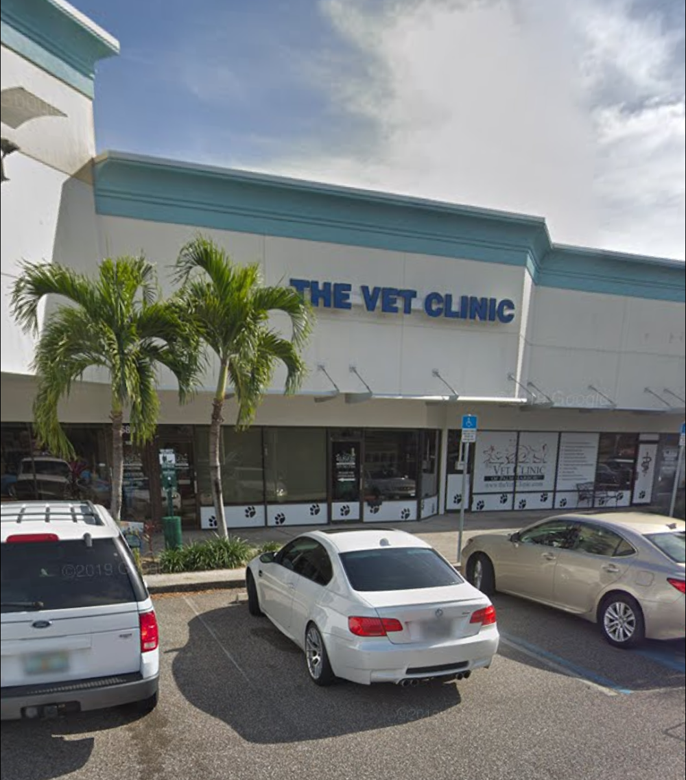 The Vet Clinic of Palm Harbor