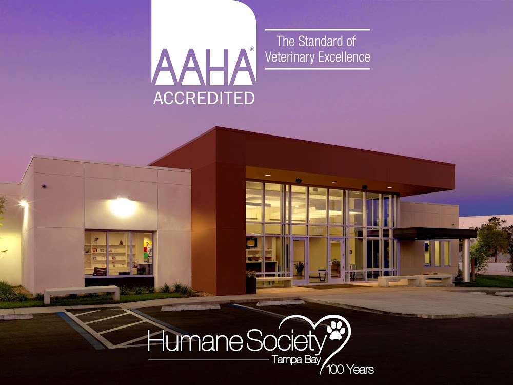 Animal Health Center at the Humane Society of Tampa Bay