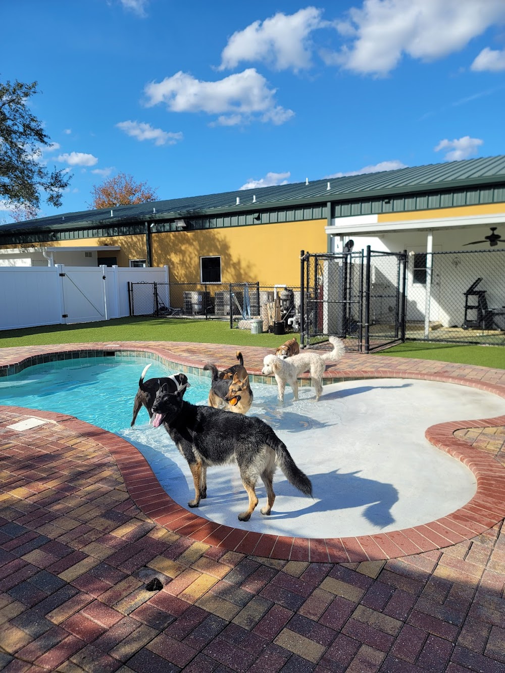 New Tampa Pet Resort