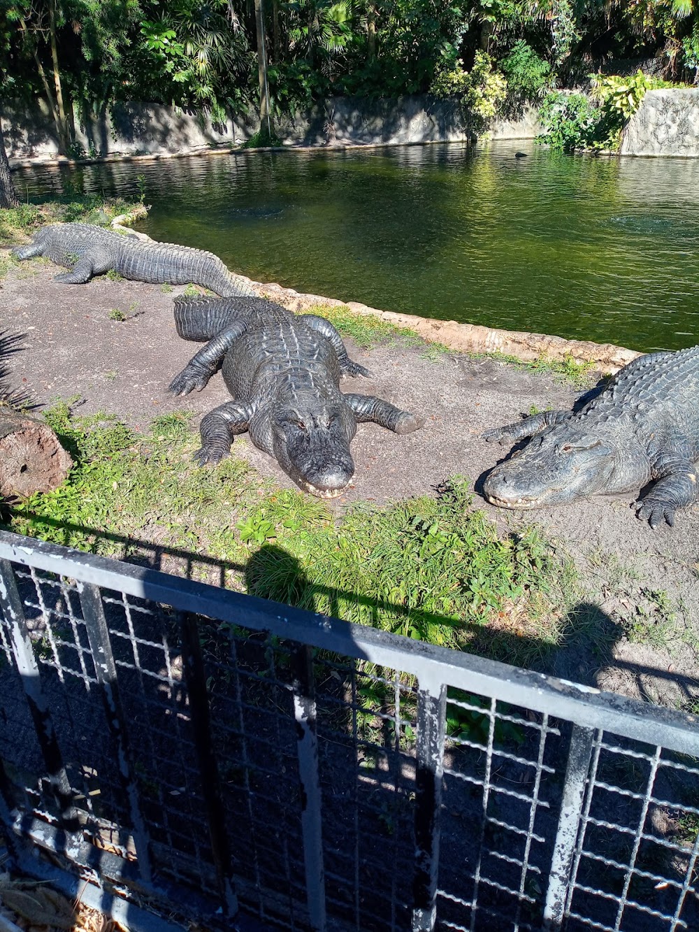 Busch Gardens Pet Kennel