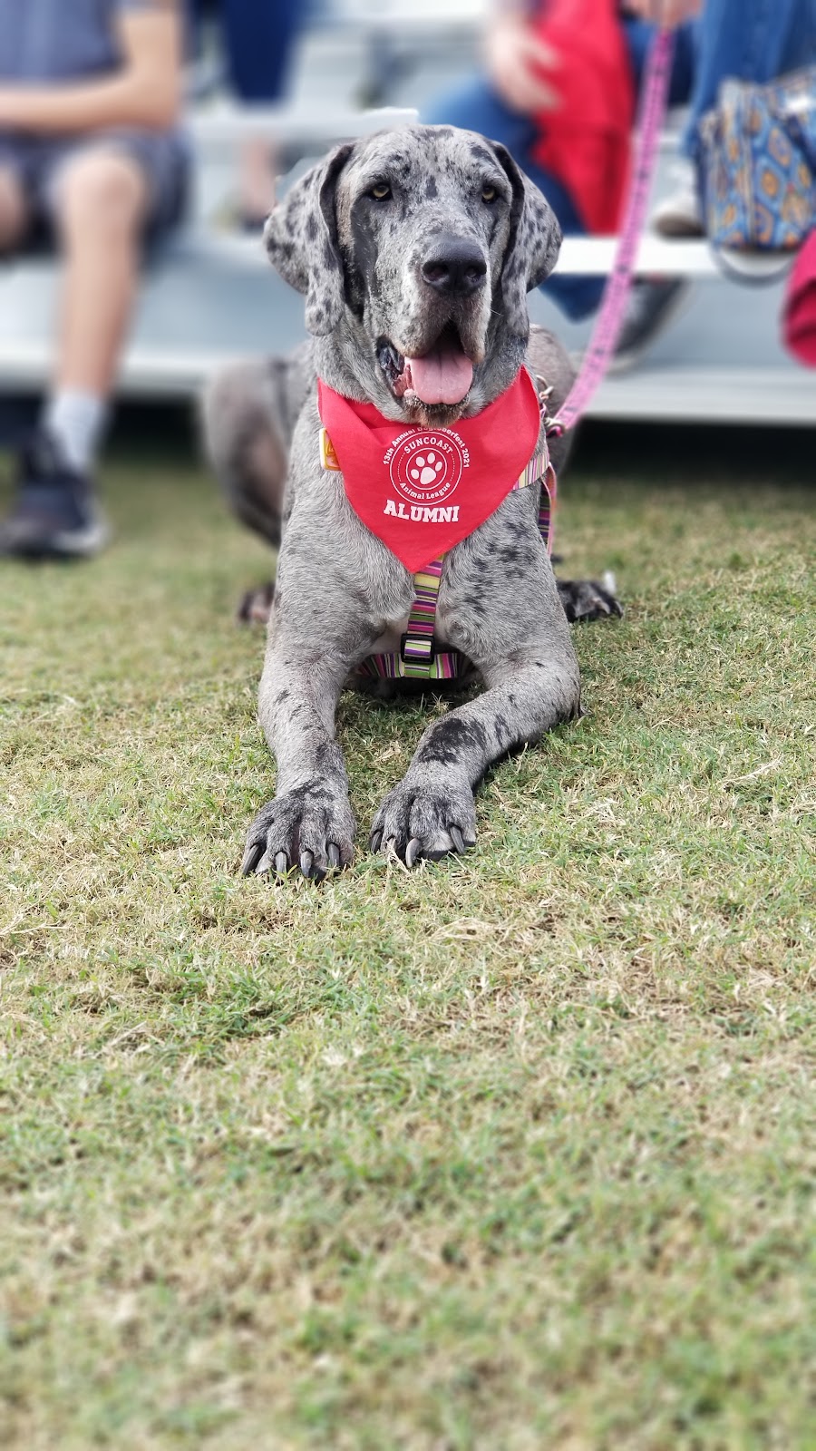 Dogtoberfest