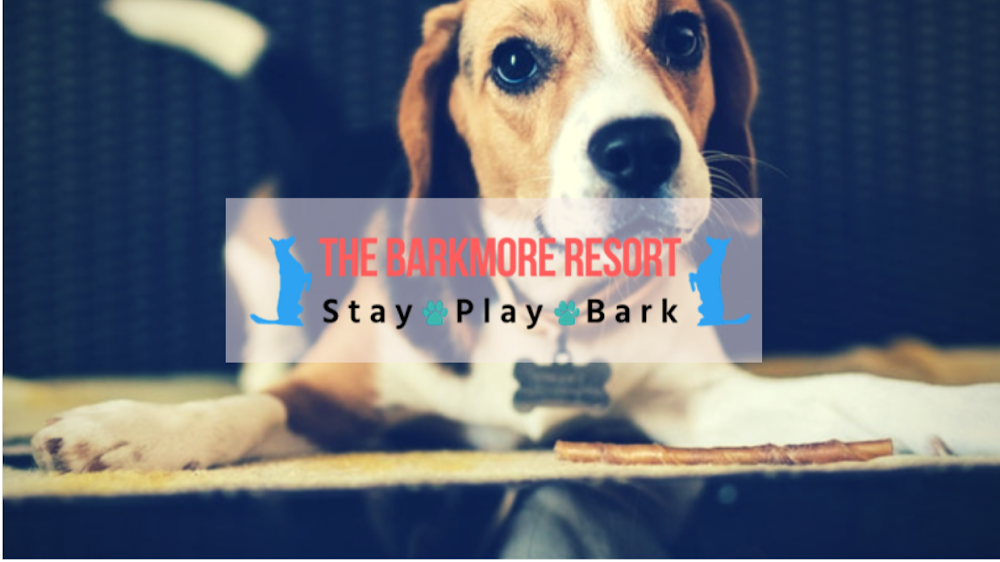 The BarkMore Resort