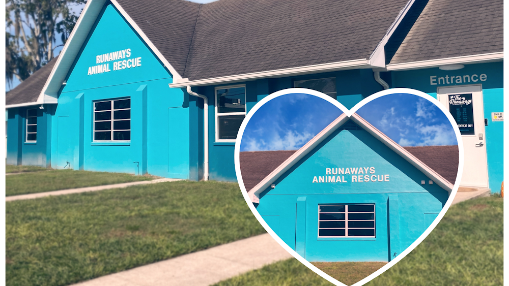 The Runaways Animal Rescue