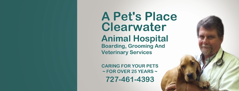 A Pet’s Place of Clearwater