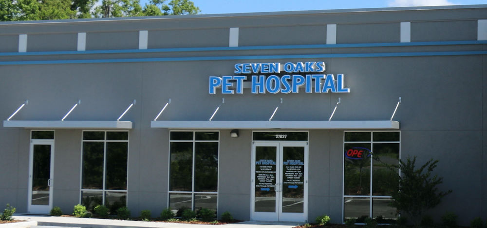 Seven Oaks Pet Hospital Wesley Chapel