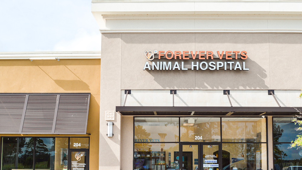 Forever Vets Animal Hospital of Murabella Parkway