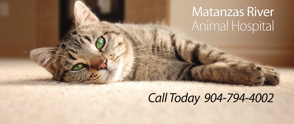 Matanzas River Animal Hospital