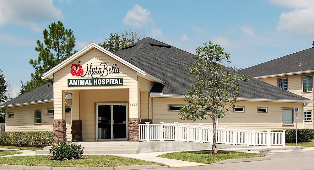 MuraBella Animal Hospital