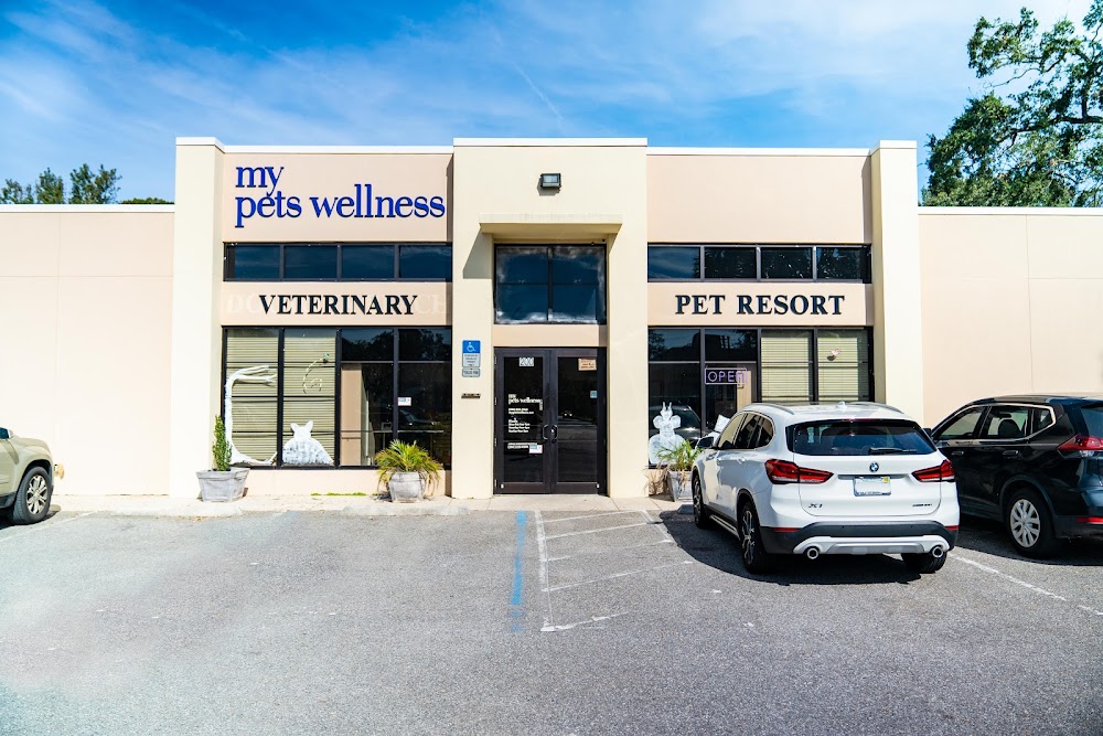 My Pets Wellness — Daytona Beach (Dogtona Beach)