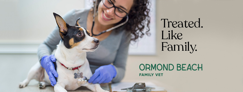 Ormond Beach Family Vet