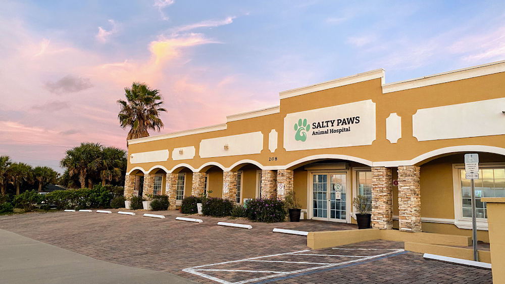 Salty Paws Animal Hospital