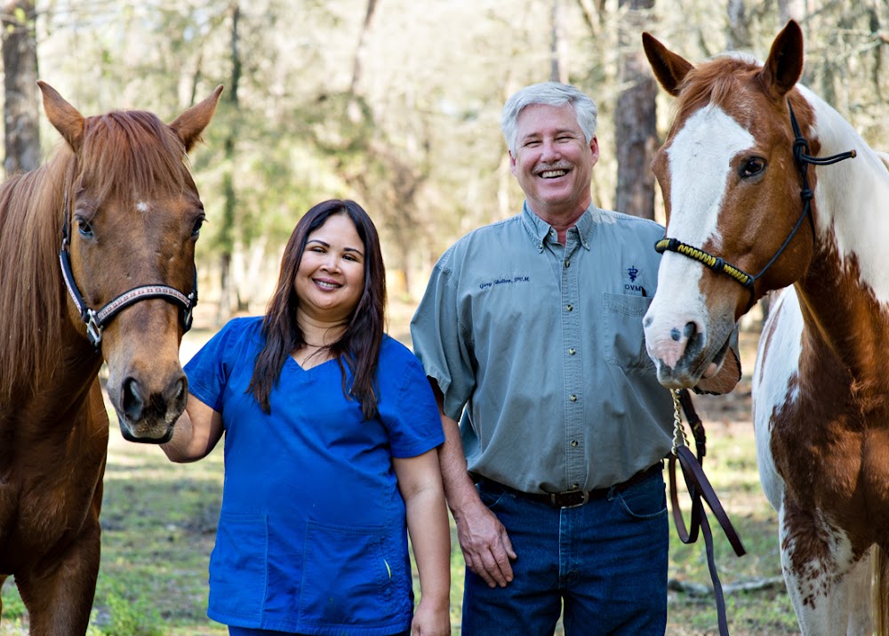 Shelton Veterinary Clinic