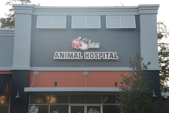 Shores Animal Hospital