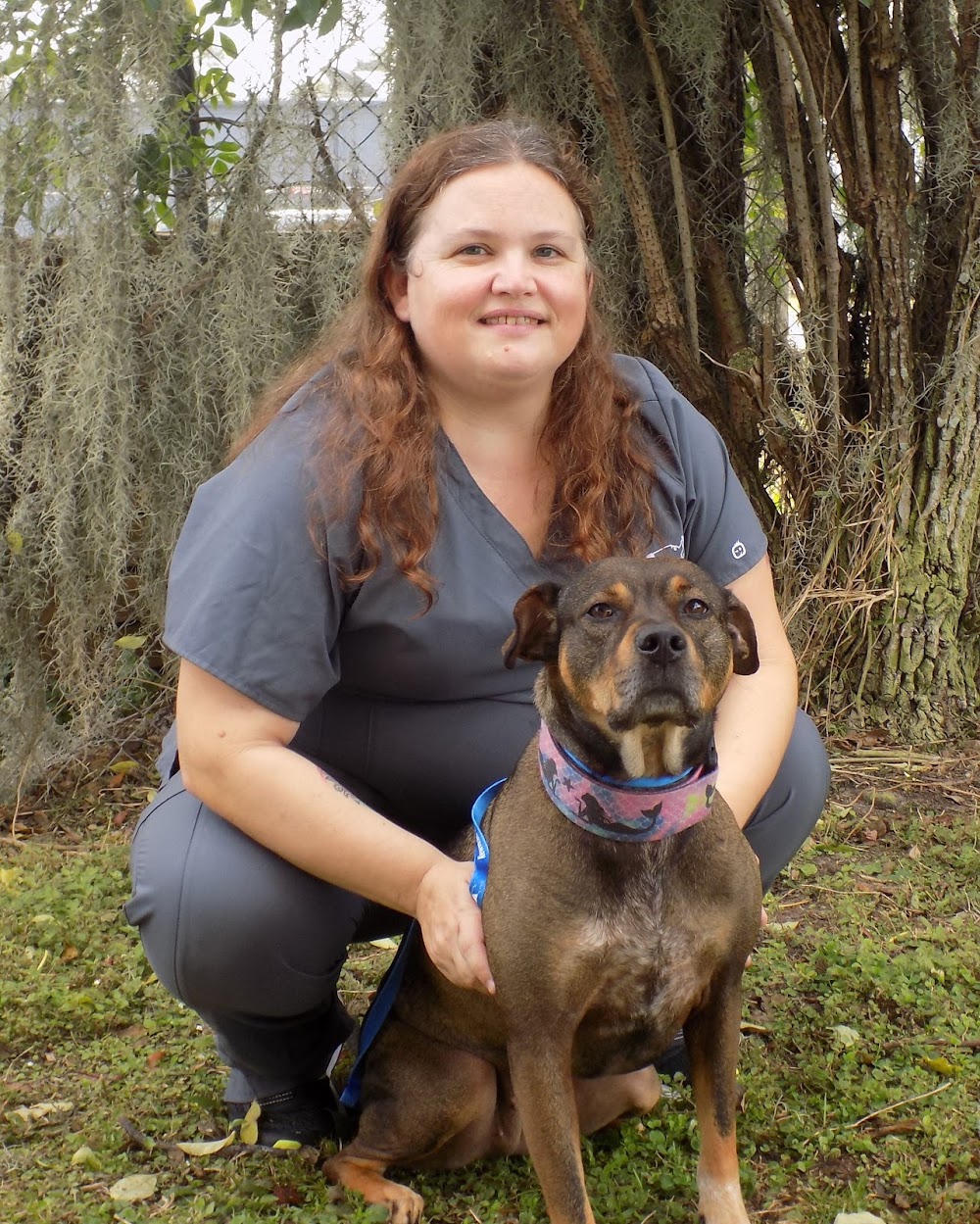 VCA Ormond Beach Animal Hospital